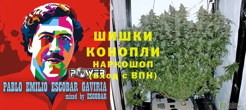 Марихуана Bruce Banner  Аша 